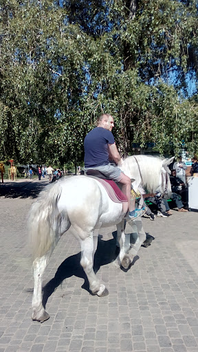 Pony riding places in Kharkiv