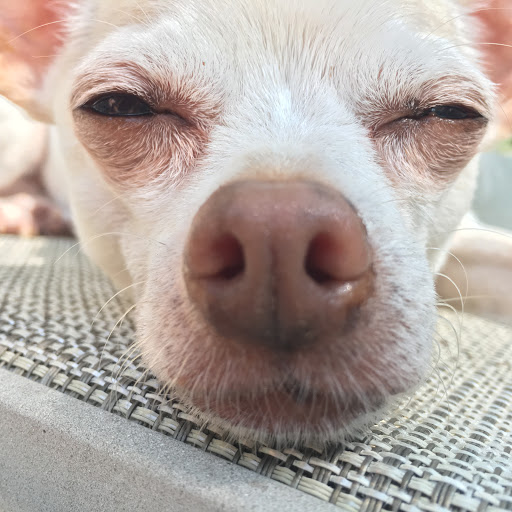 Movie Theater «Park Plaza Cinema», reviews and photos, 33 Office Park Rd #201, Hilton Head Island, SC 29928, USA