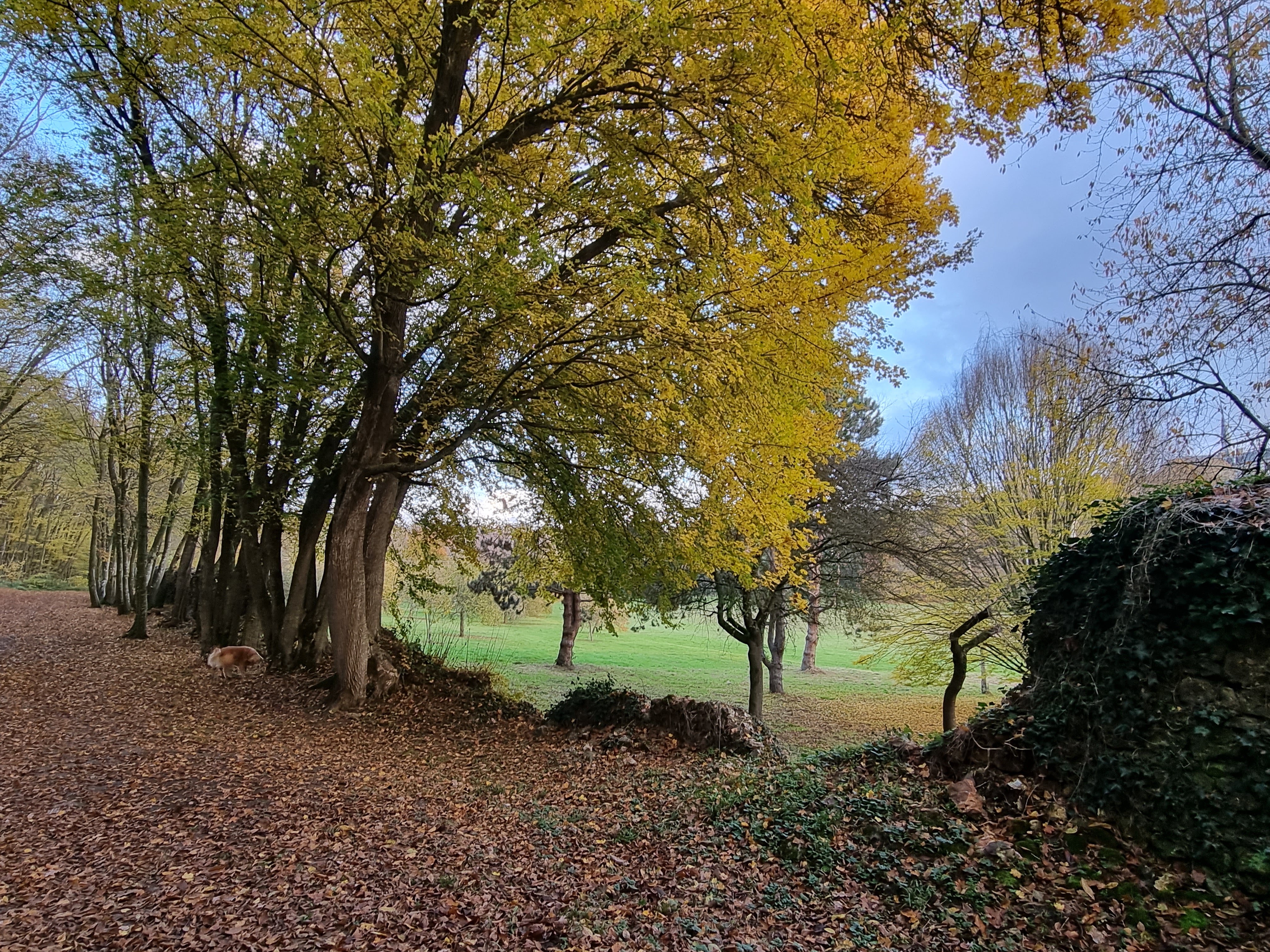 Photo n° 7 de l'avis de Sylviane.w fait le 23/11/2021 à 11:51