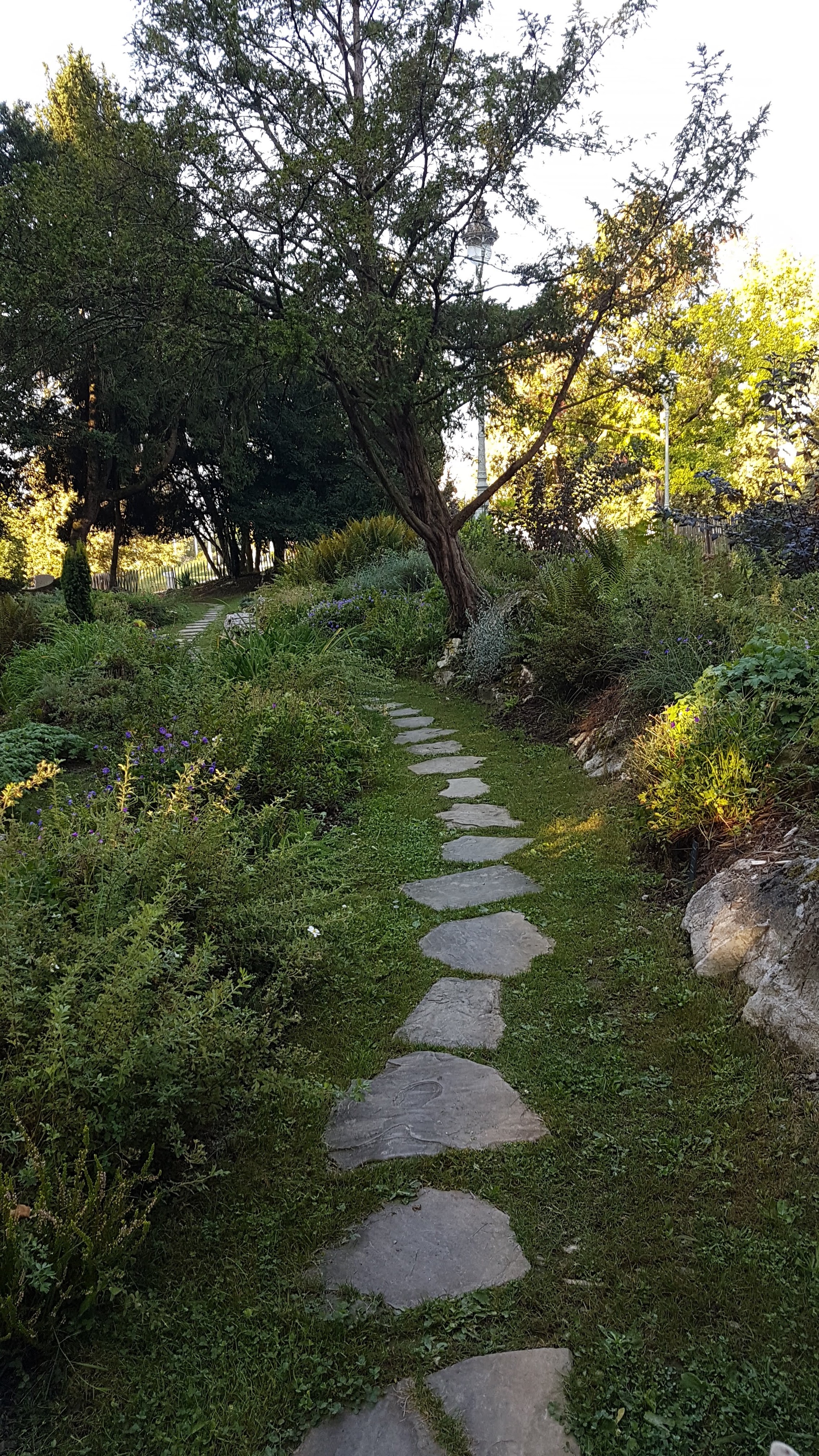 Photo n° 3 de l'avis de Séverine.o fait le 01/10/2019 à 06:38