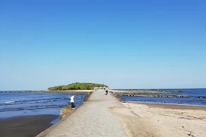 AOSHIMA BEACH PARK image