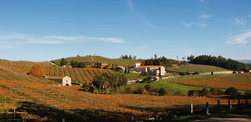 Bodega Pazo Baion_ Enoturismo Rías Baixas