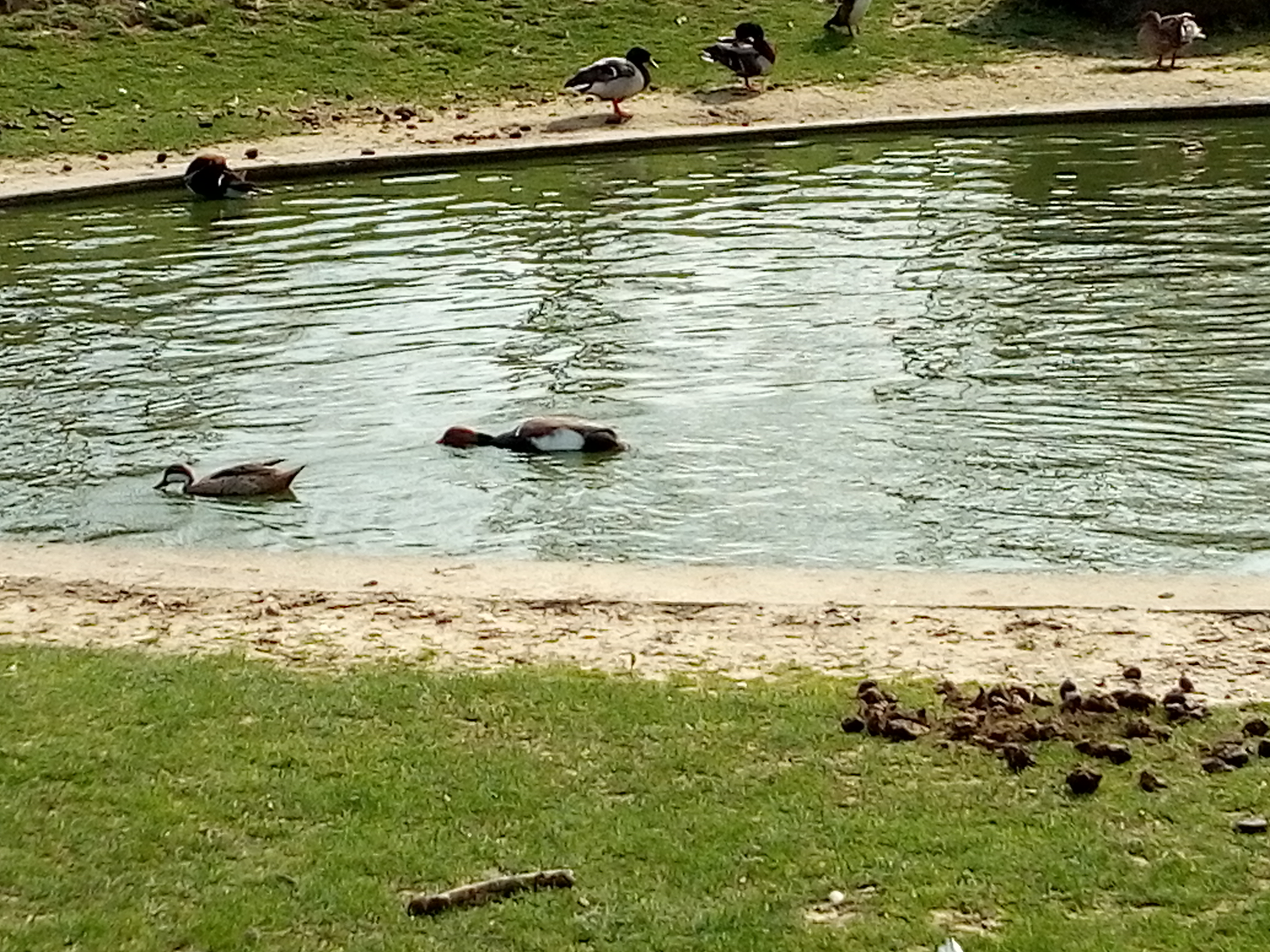 Photo n° 14 de l'avis de coralie.a fait le 11/05/2019 à 16:24