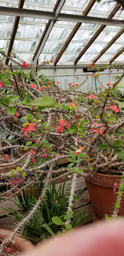 History Museum «Bush House Museum», reviews and photos, 600 Mission St SE, Salem, OR 97302, USA