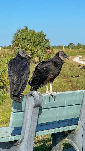 Wetland «Viera Wetlands», reviews and photos, 10001 N Wickham Rd, Melbourne, FL 32940, USA