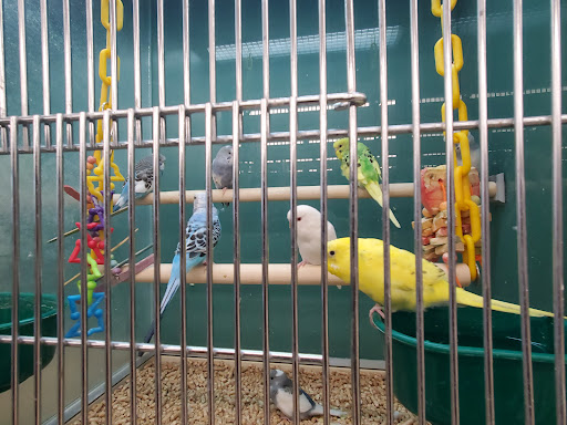 Pet Supply Store «Pet Supplies Plus», reviews and photos, 471 Boston Post Rd, Orange, CT 06477, USA