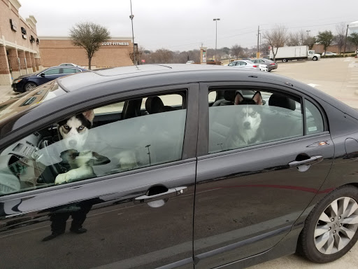 Pet Supply Store «Pet Supplies Plus», reviews and photos, 1012 W Hebron Pkwy #120, Carrollton, TX 75010, USA