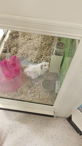 Pet Supply Store «PetSmart», reviews and photos, 290 S Broadway, Salem, NH 03079, USA
