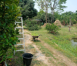 กระท่อมรจนา Nakronsawan photo