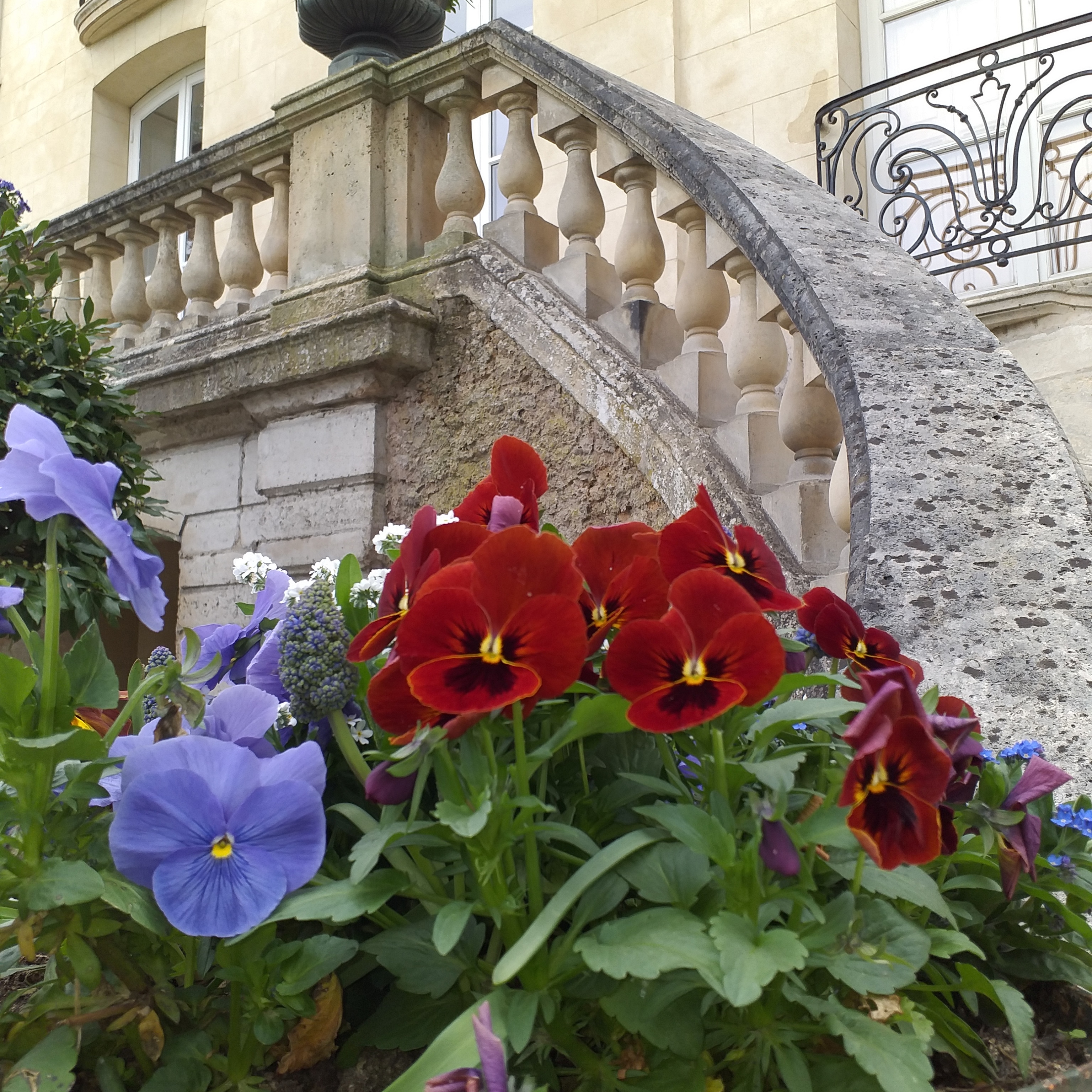 Photo n° 2 de l'avis de Néant. fait le 14/04/2019 à 06:49