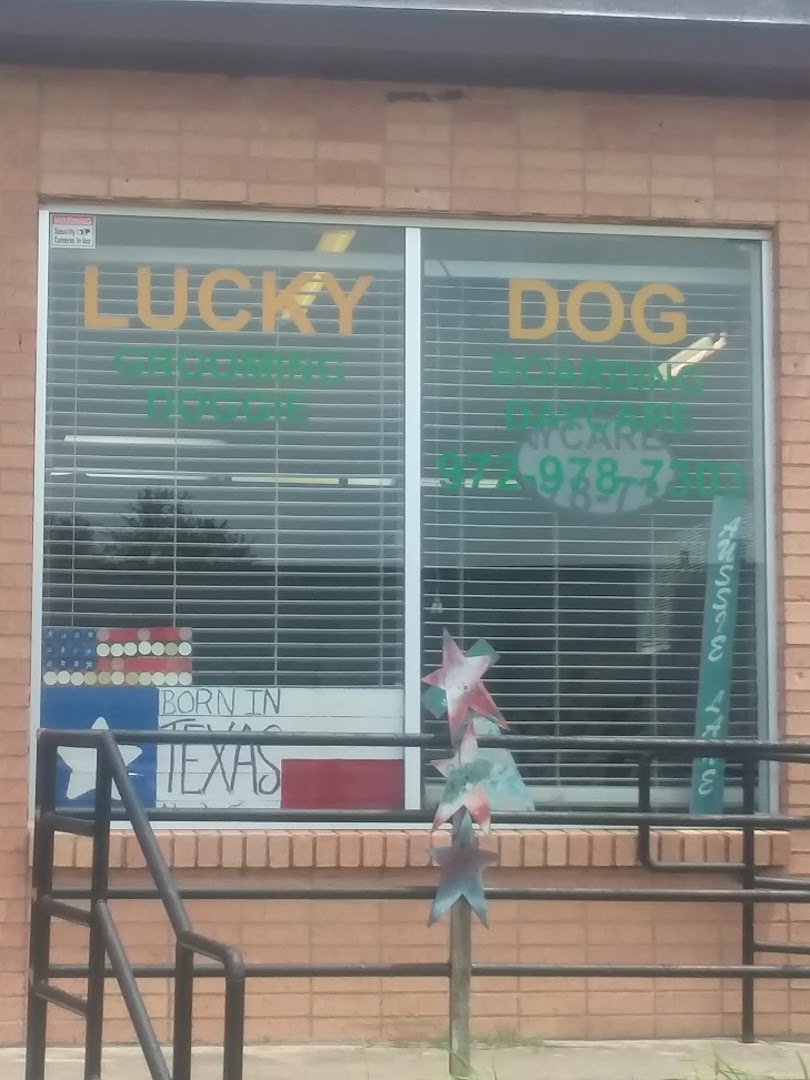 Lucky Dog Grooming & Doggie Daycare