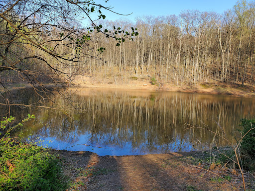 Nature Preserve «Boyd Big Tree Preserve Conservation Area», reviews and photos, Fishing Creek Valley Rd, Harrisburg, PA 17112, USA
