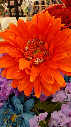 Craft Store «A.C. Moore Arts and Crafts», reviews and photos, 1851 S Christopher Columbus Blvd f, Philadelphia, PA 19148, USA