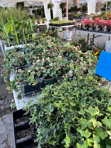 Florist «TG Designs», reviews and photos, 19231 Longmeadow Rd, Hagerstown, MD 21742, USA