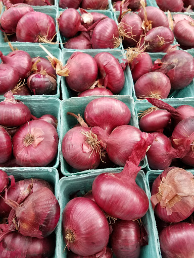 Grocery Store «Swarthmore CO-OP», reviews and photos, 341 Dartmouth Ave, Swarthmore, PA 19081, USA