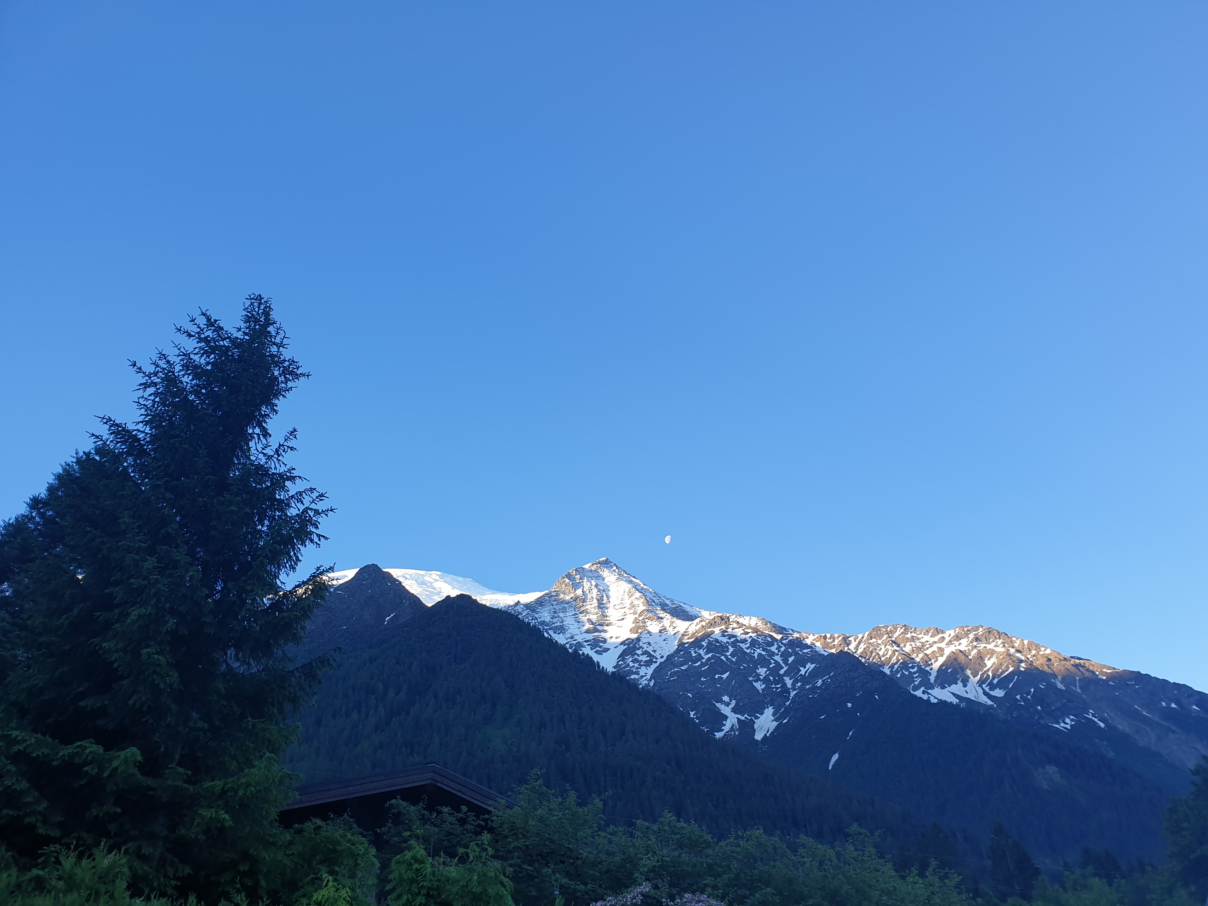 Photo n° 1 de l'avis de P..s fait le 28/06/2019 à 19:41
