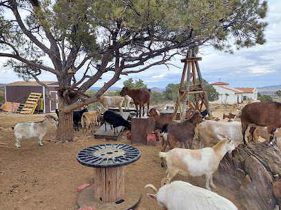 Thunder Mountain Rescue Ranch