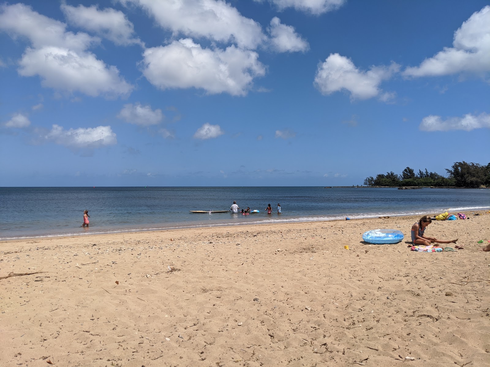 Photo of Haleiwa Alii Beach with very clean level of cleanliness