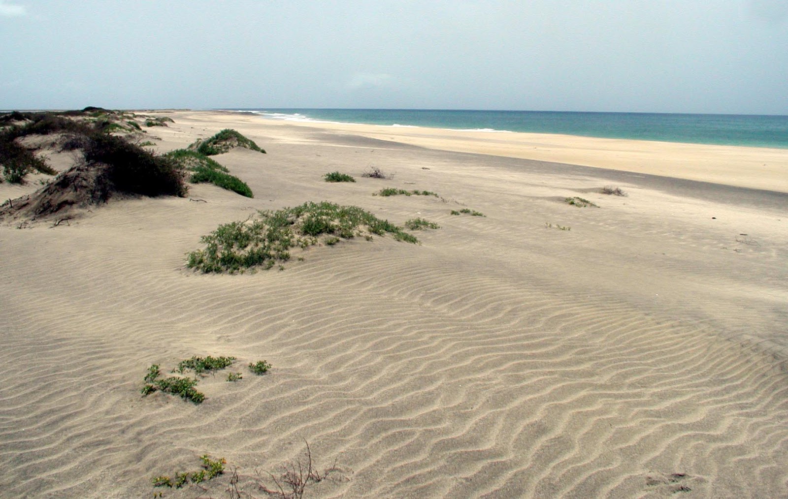 Photo of Morro Beach wild area