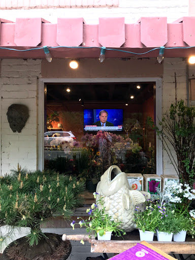 Surroundings Florist & Event, 1023 East Capitol St SE, Washington, DC 20003, USA, 