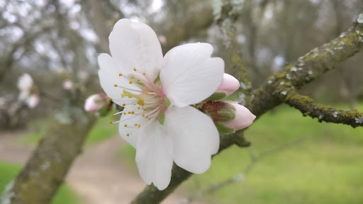 Nature Preserve «Effie Yeaw Nature Center», reviews and photos, 2850 San Lorenzo Way, Carmichael, CA 95608, USA