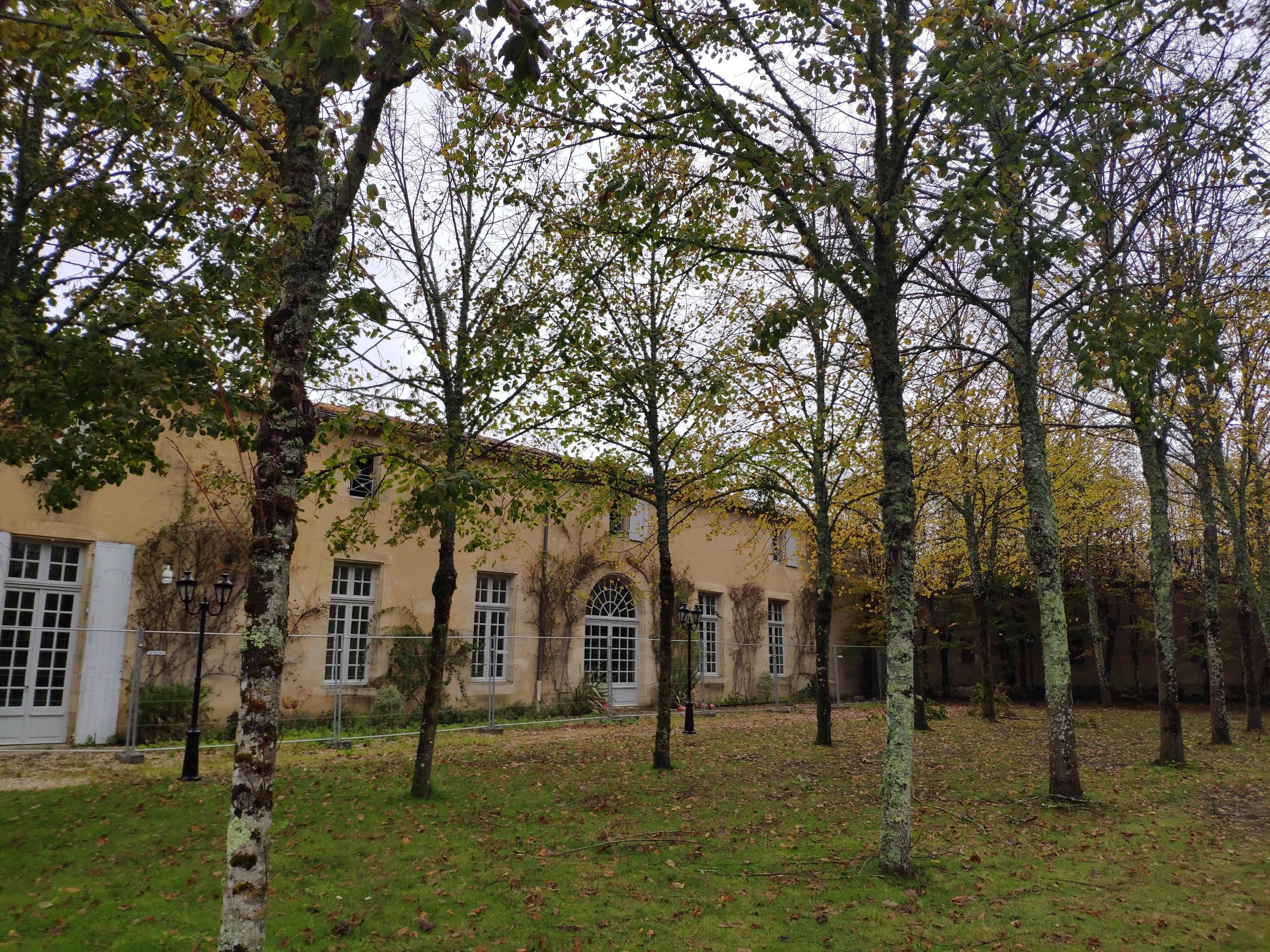 Photo n° 2 de l'avis de Yuying.I fait le 11/11/2019 à 14:12