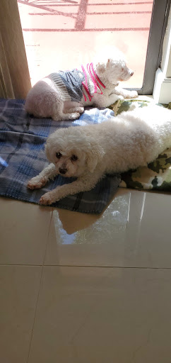 Coffee Shop «Starbucks», reviews and photos, 1600 S Andrews Ave, Fort Lauderdale, FL 33316, USA