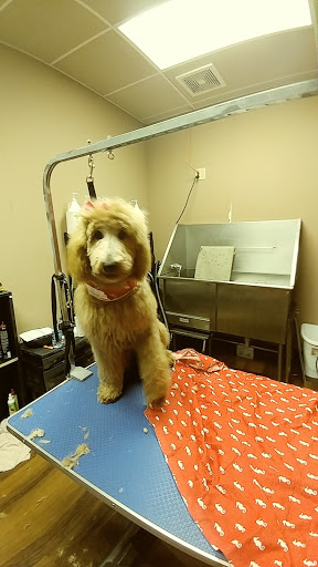 Pet Store «Pet Valu», reviews and photos, 2645 Shillington Rd, Sinking Spring, PA 19608, USA