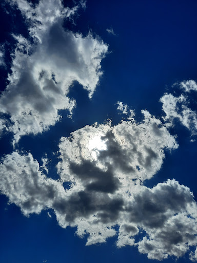 State Park «Silver Sands State Park», reviews and photos, 1 Silver Sands Park Way, Milford, CT 06460, USA