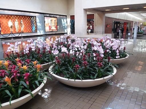 Clothing Store «Nike», reviews and photos, 8687 N Central Expy, Dallas, TX 75225, USA