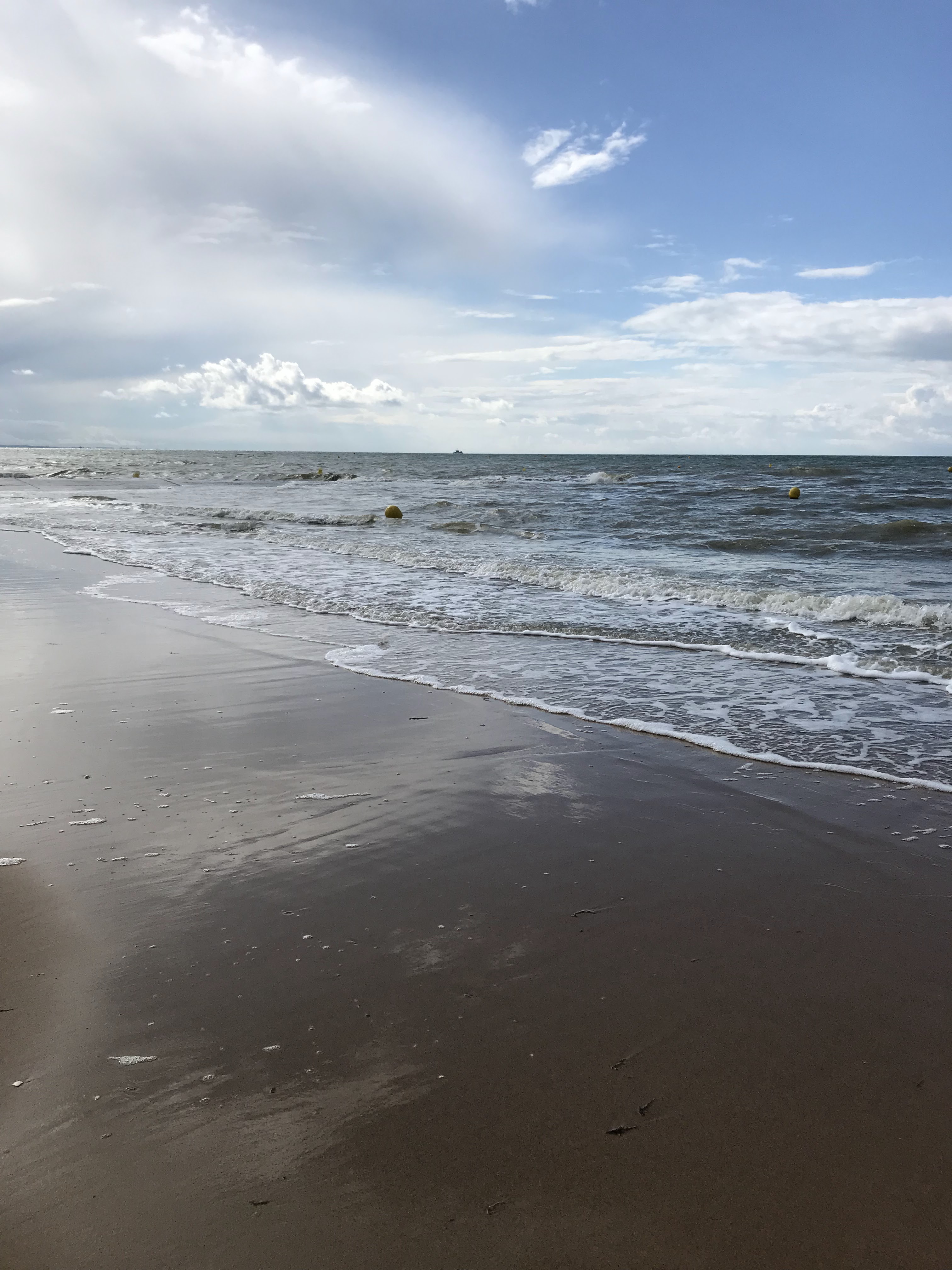 Photo n° 8 de l'avis de C.o fait le 11/06/2019 à 06:40