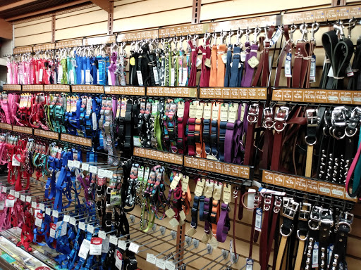 Pet Supply Store «Pet Supermarket», reviews and photos, 1800 W 68th St #140, Hialeah, FL 33014, USA