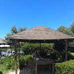 Photo n°3 de l'avis de Tatiana.i fait le 15/06/2020 à 12:55 sur le  Restaurante Museu da Batata Doce à Rogil