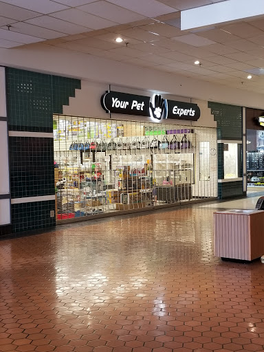 Your Pet Experts, 1665 State Hill Rd #490, Wyomissing, PA 19610, USA, 