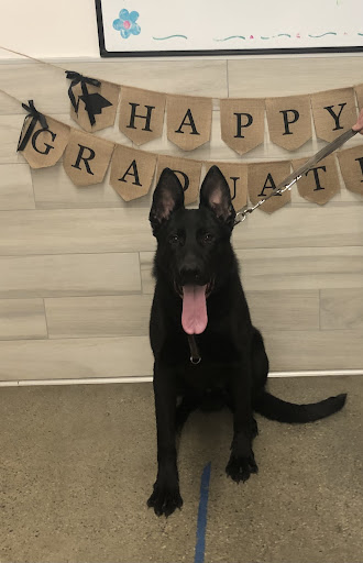 Pet Supply Store «PetSmart», reviews and photos, 2 Bourne Bridge Approach #2, Bourne, MA 02532, USA