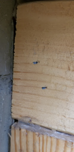 Roofing Contractor «Signature Home Services LLC», reviews and photos, 15631 Darling Path, Rosemount, MN 55068, USA