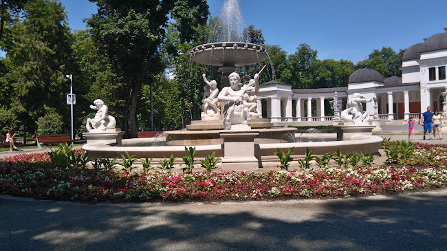 Parcul Central Simion Bărnuțiu - <nil>