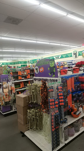 Dollar Store «Dollar Tree», reviews and photos, 2135 Howland Blvd #110, Deltona, FL 32738, USA