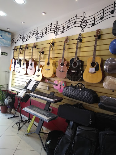Fásollá Instrumentos Musicais - Loja de instrumentos musicais
