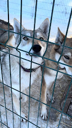 Photo n°7 de Au Hurlement Du Crépuscule à Val-d'Oronaye ()