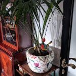 Photo n°3 de l'avis de ali.l fait le 16/04/2019 à 21:37 sur le  Velona's Jungle Luxury Suites à Florence