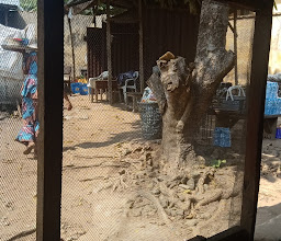 Anuoluwapo Food Canteen - Iya Bunmi Food Canteen photo