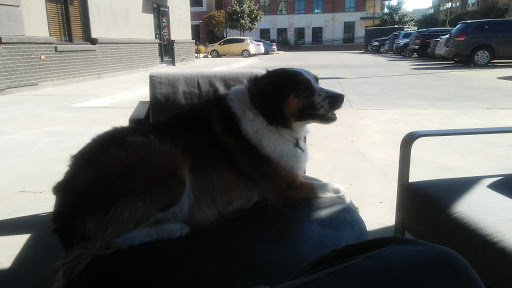 Coffee Shop «Starbucks», reviews and photos, 801 University Ave, Lubbock, TX 79401, USA