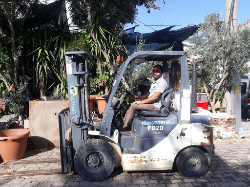 Marmaris Forklift Kiralama