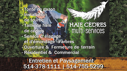 Haie Cèdres Multi-Services, Taille De Haie Mercier Châteauguay