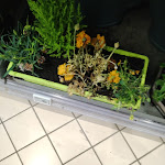 Photo n° 3 de l'avis de Sarah.i fait le 18/05/2024 à 02:54 pour E.Leclerc SAINTES à Saintes