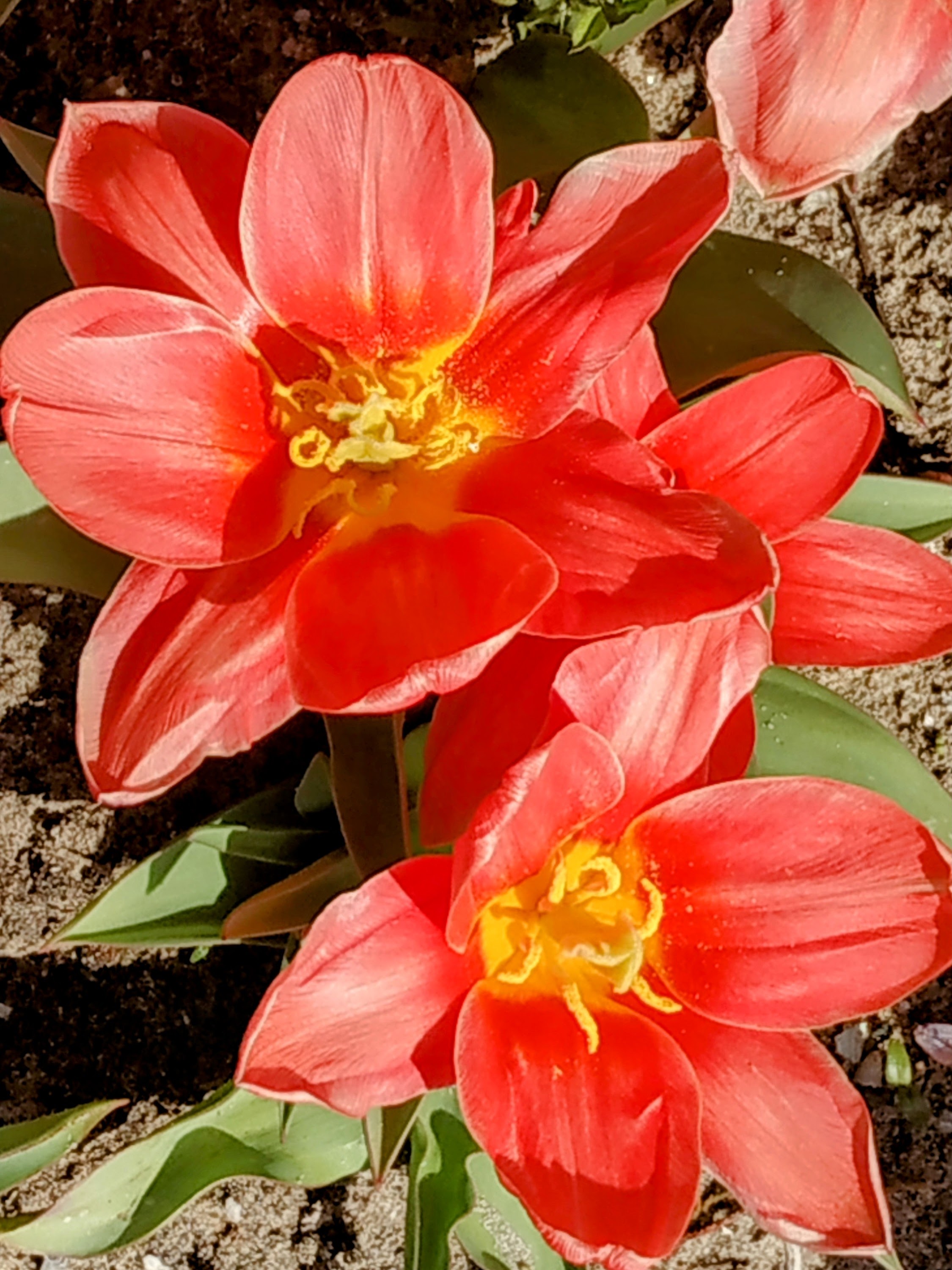 Photo n° 50 de l'avis de The.a fait le 05/04/2023 à 21:57