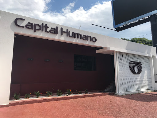 Capital Humano