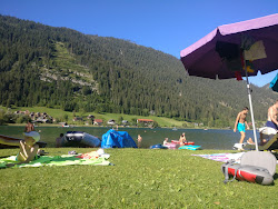 Strandbad Weissensee'in fotoğrafı kısmen otel alanı