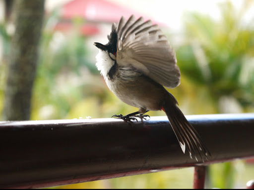 Top 20 cửa hàng chén đĩa Huyện Hóc Môn Hồ Chí Minh 2022